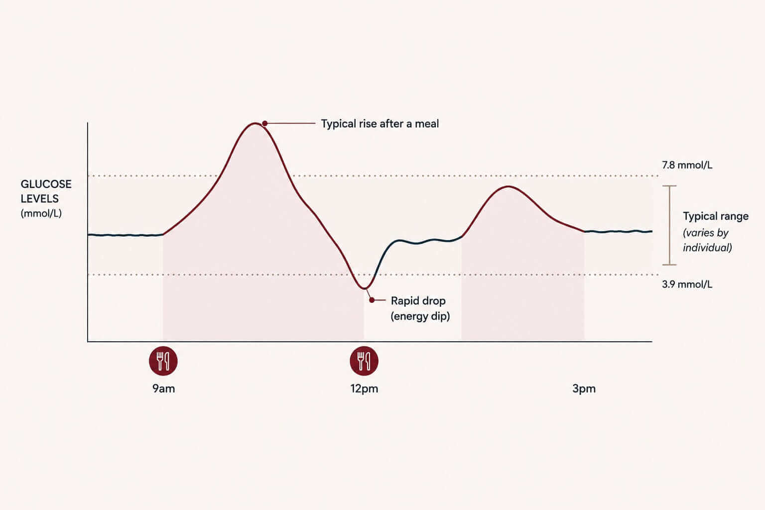 Chart showing glucose levels throughout the day, illustrating Understanding Glucose Spikes: What They Are and Why They Matter.