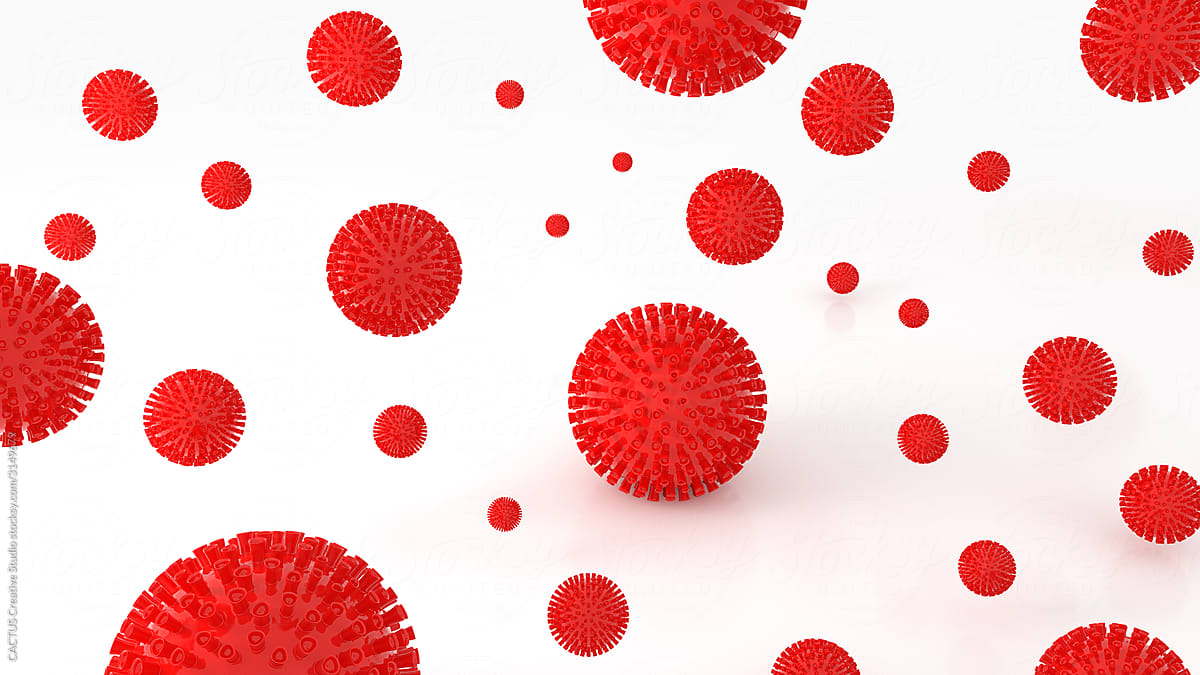 Understanding Your Immune System & How to Support It | Windback NZ
