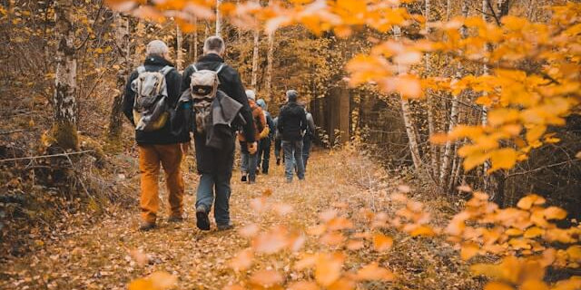 Group of hikers walking through an autumn forest, emphasizing the importance of brain health in an active lifestyle.