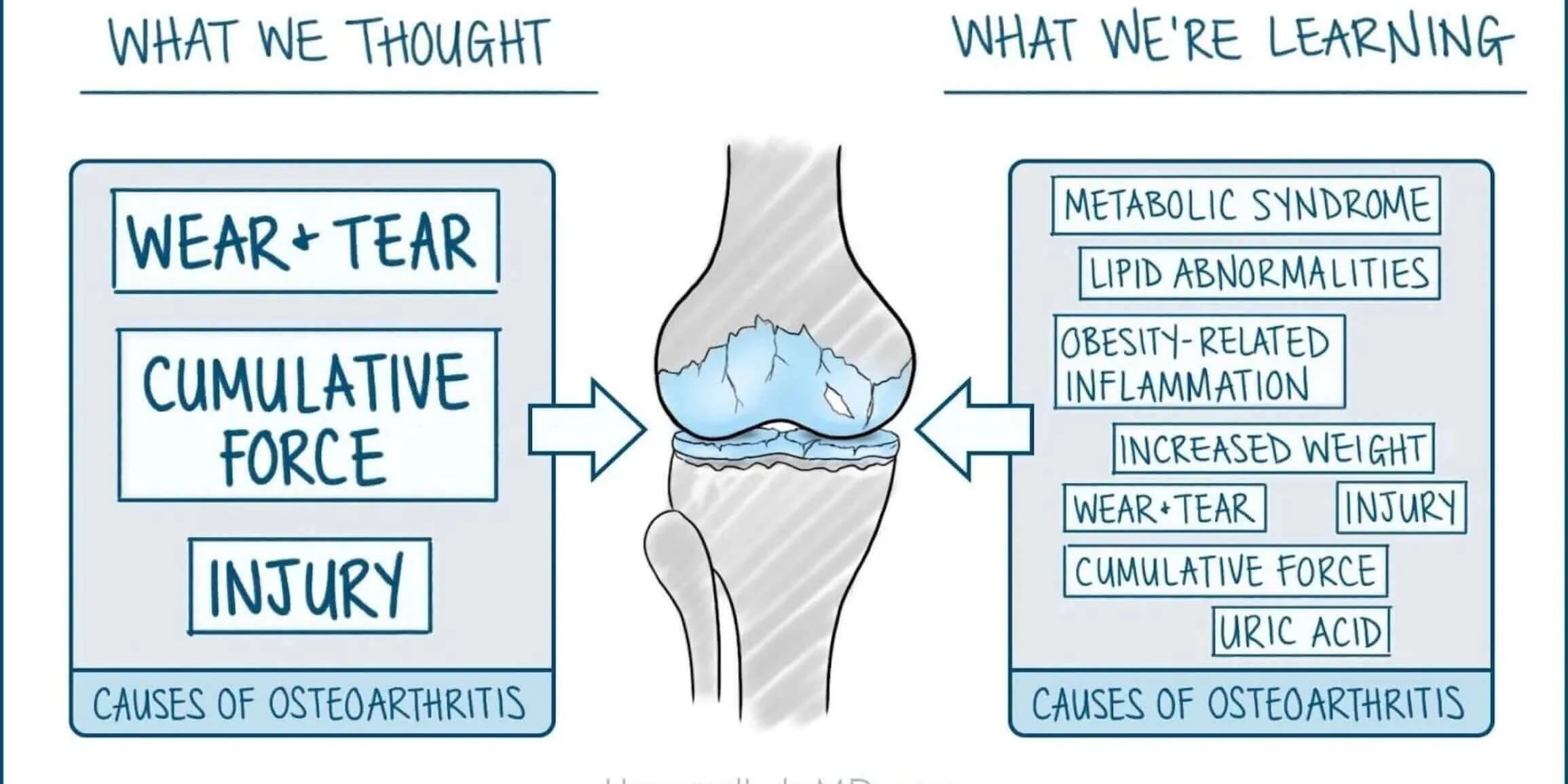 Osteoarthritis, Joint Health and Metabolic Wellbeing: A Whole-Body Approach infographic illustrating causes of osteoarthritis.
