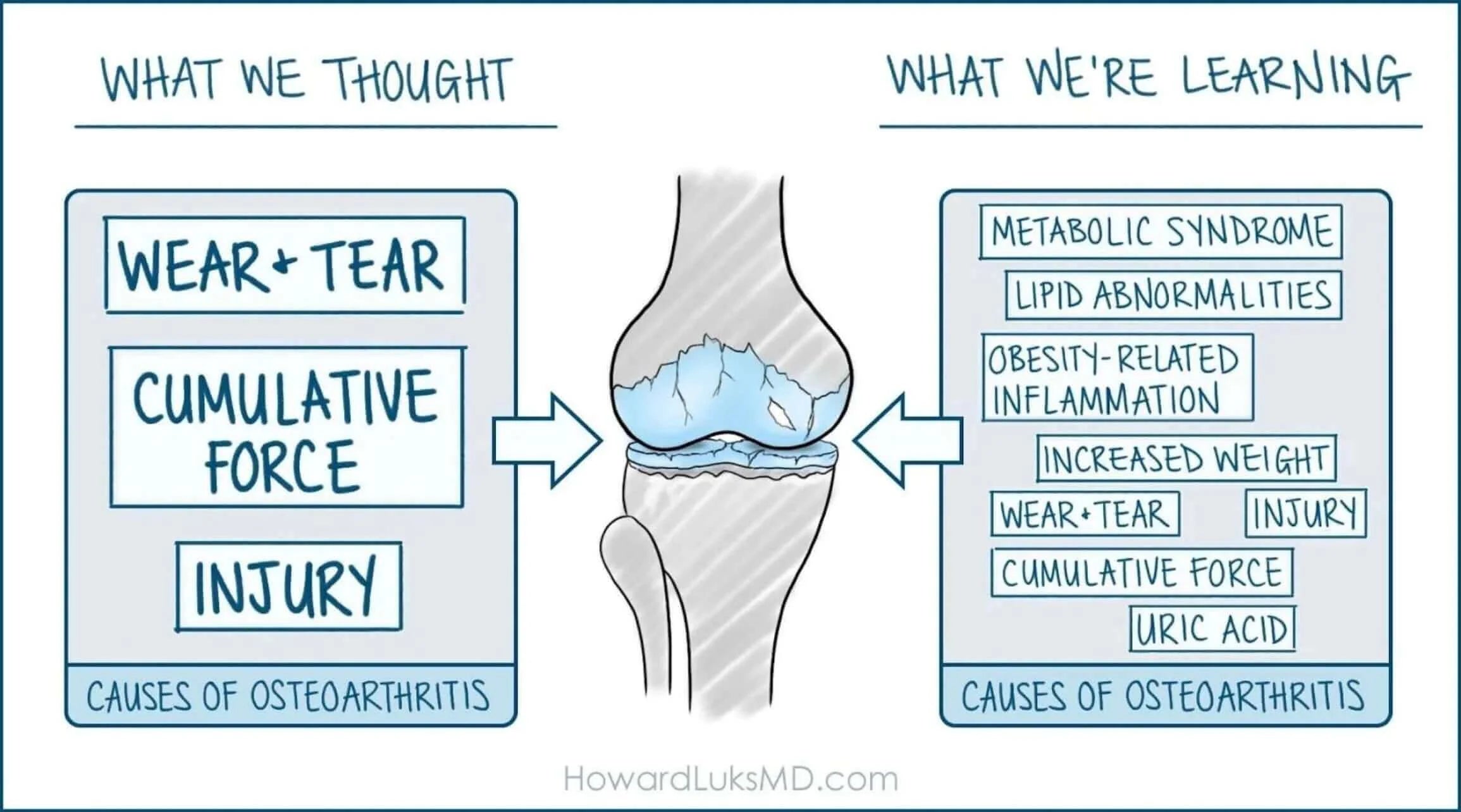 Osteoarthritis, Joint Health and Metabolic Wellbeing: A Whole-Body Approach infographic illustrating causes of osteoarthritis.
