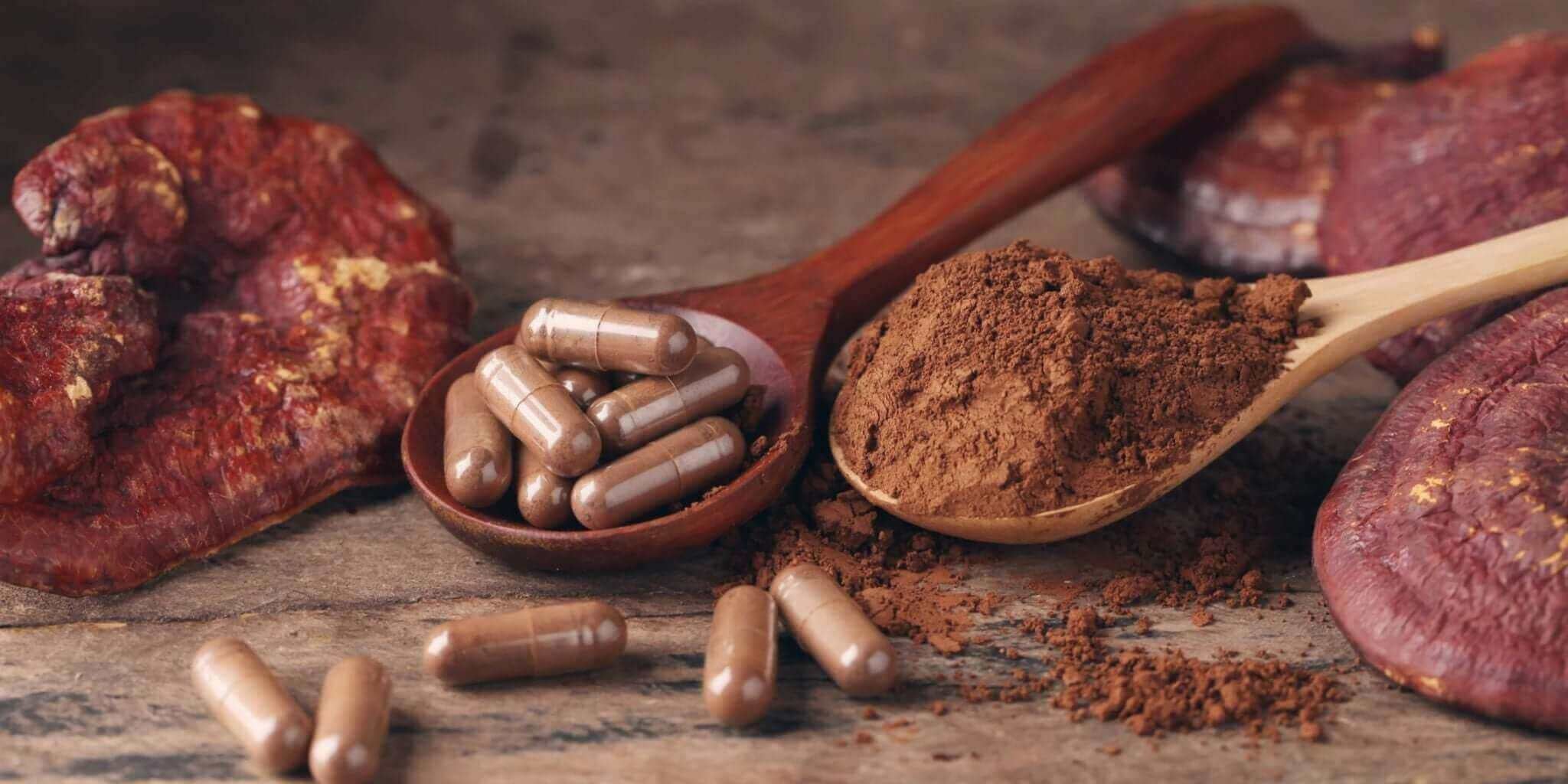 A Practical Guide to Choosing Medicinal Mushrooms with capsules and powdered form on wooden spoons.