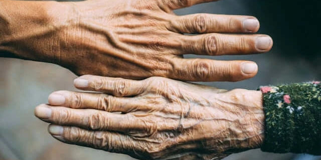 Two hands of different ages meeting, representing the theme of Eating Less, Losing More: The Overlooked Nutrition Risk in Later Life.