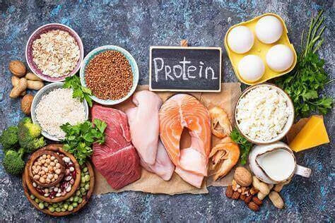Protein for Everyday Health: How to Meet Your Needs Naturally with various protein-rich foods and ingredients.