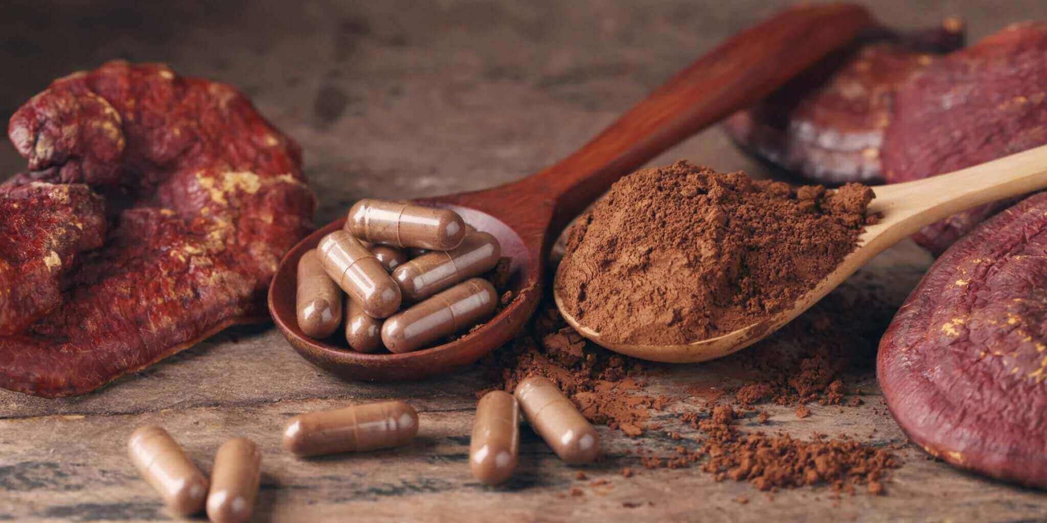 A Practical Guide to Choosing Medicinal Mushrooms with capsules and powdered form on wooden spoons.