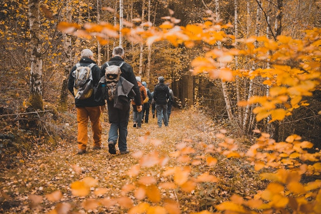 Modern Medicine Can Save the Heart, But We’re Still Catching Up on Brain Health