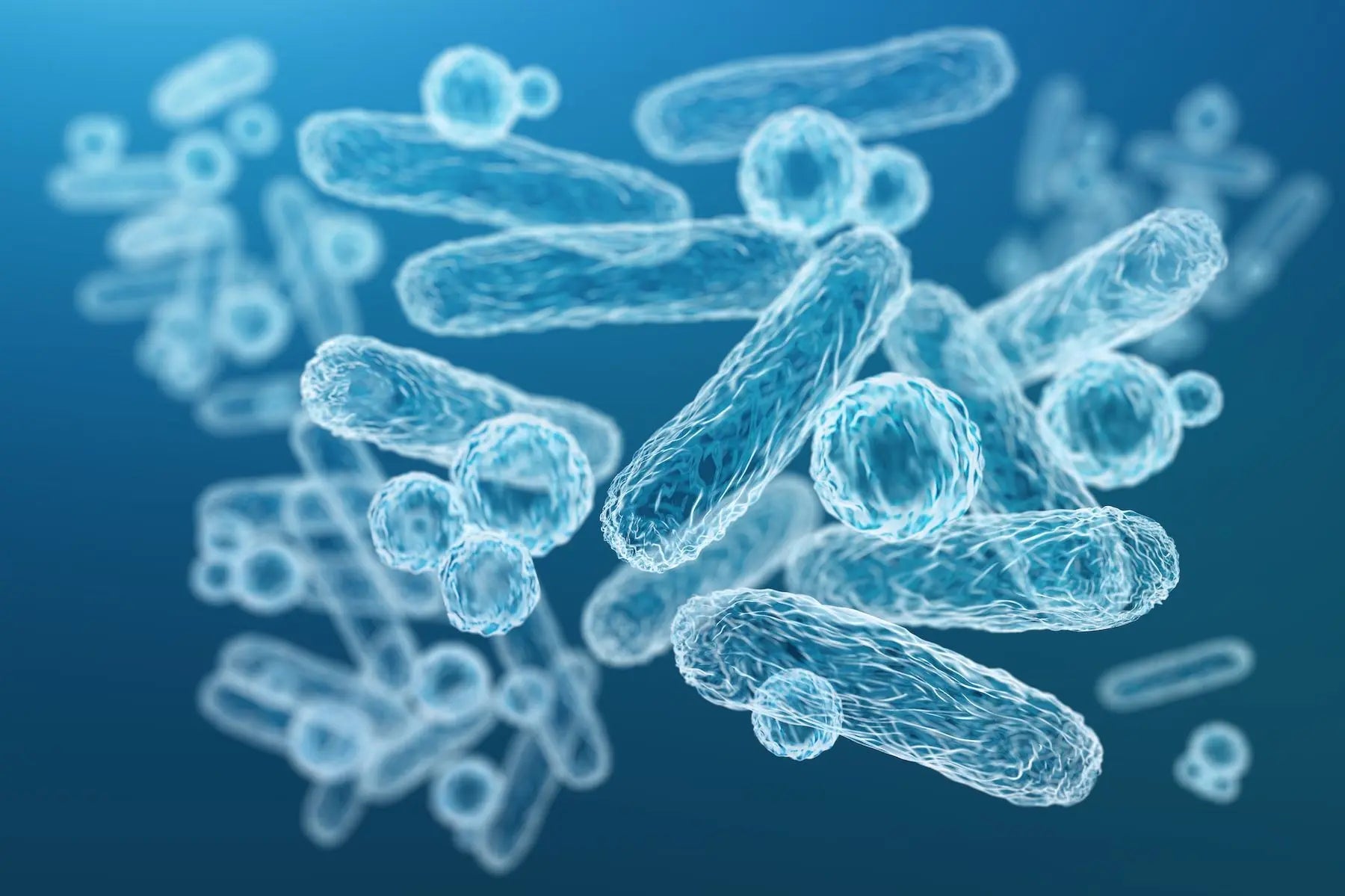 Trust Your Gut | Why Digestive Health Matters | Windback NZ