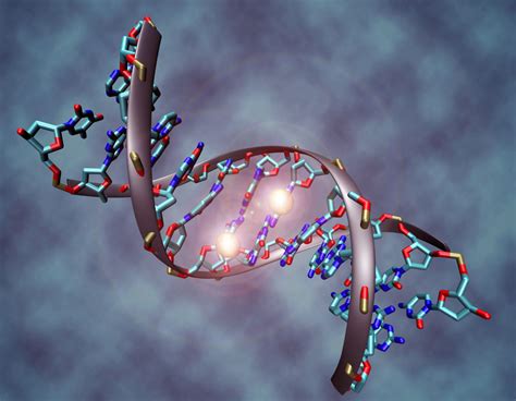 Epigenetics & Everyday Health: Insights from Dr Casey Means featured image – Windback NZ.