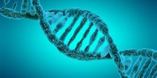 Epigenetics & Everyday Health | Insights from Dr Casey Means | Windback NZ