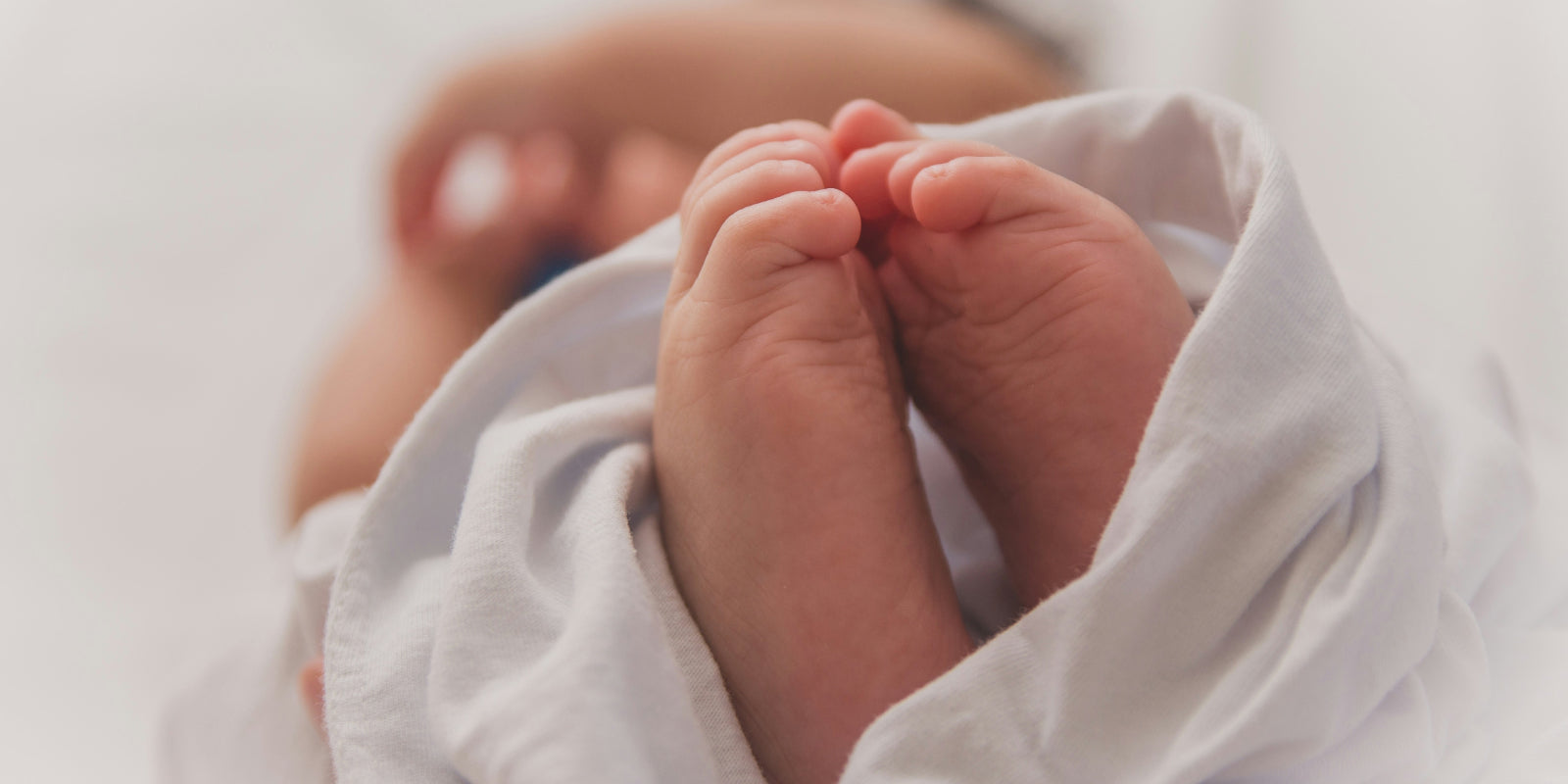 Can Diet Support Fertility? What the Evidence Says | Windback NZ