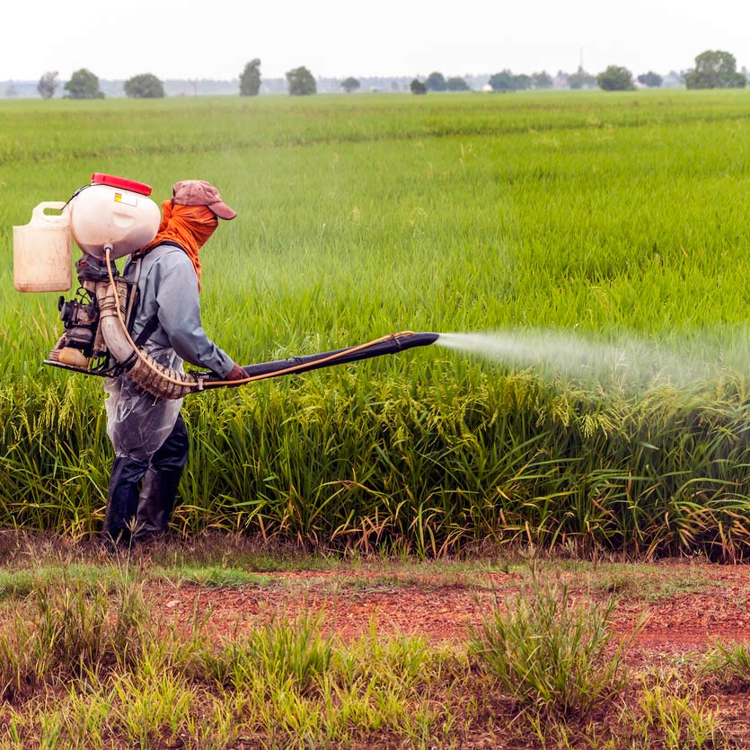 Environmental Toxins | Understanding Exposure & Supporting Your Body | Windback NZ