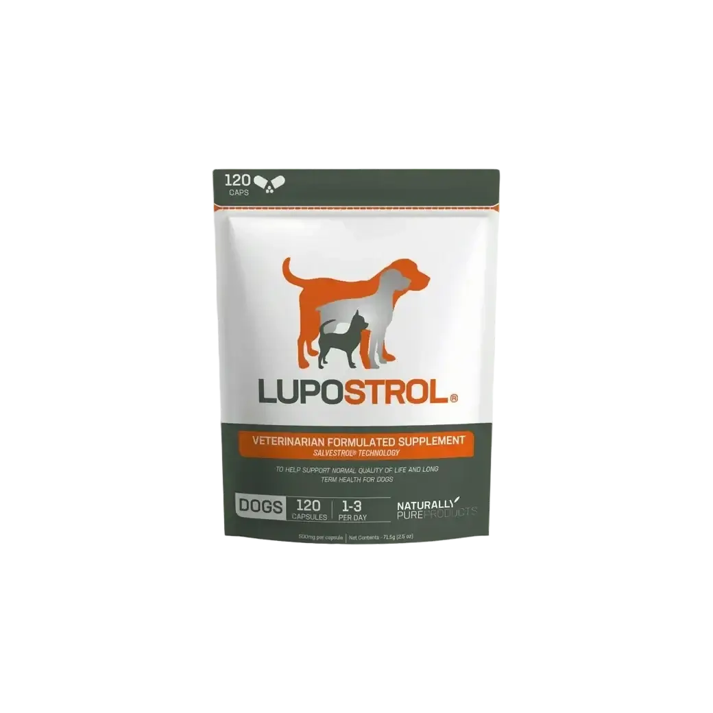 Salvacare Lupostrol® 120 Caps - Daily Nutritional Support for Dogs in a veterinary formulated supplement.