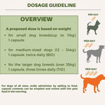 Dosage guidelines for Salvacare Lupostrol® showing recommended daily intake for small, medium, and large dogs.