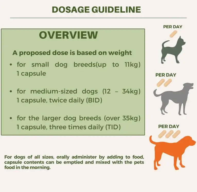 Dosage guidelines for Salvacare Lupostrol® showing recommended daily intake for small, medium, and large dogs.