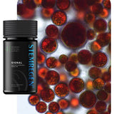 Stemregen Signal 120 Caps - Advanced cellular communication support for healthy ageing and cellular health.