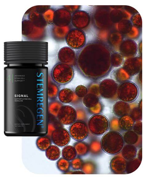 Stemregen Signal 120 Caps - Advanced cellular communication support for healthy ageing and cellular health.