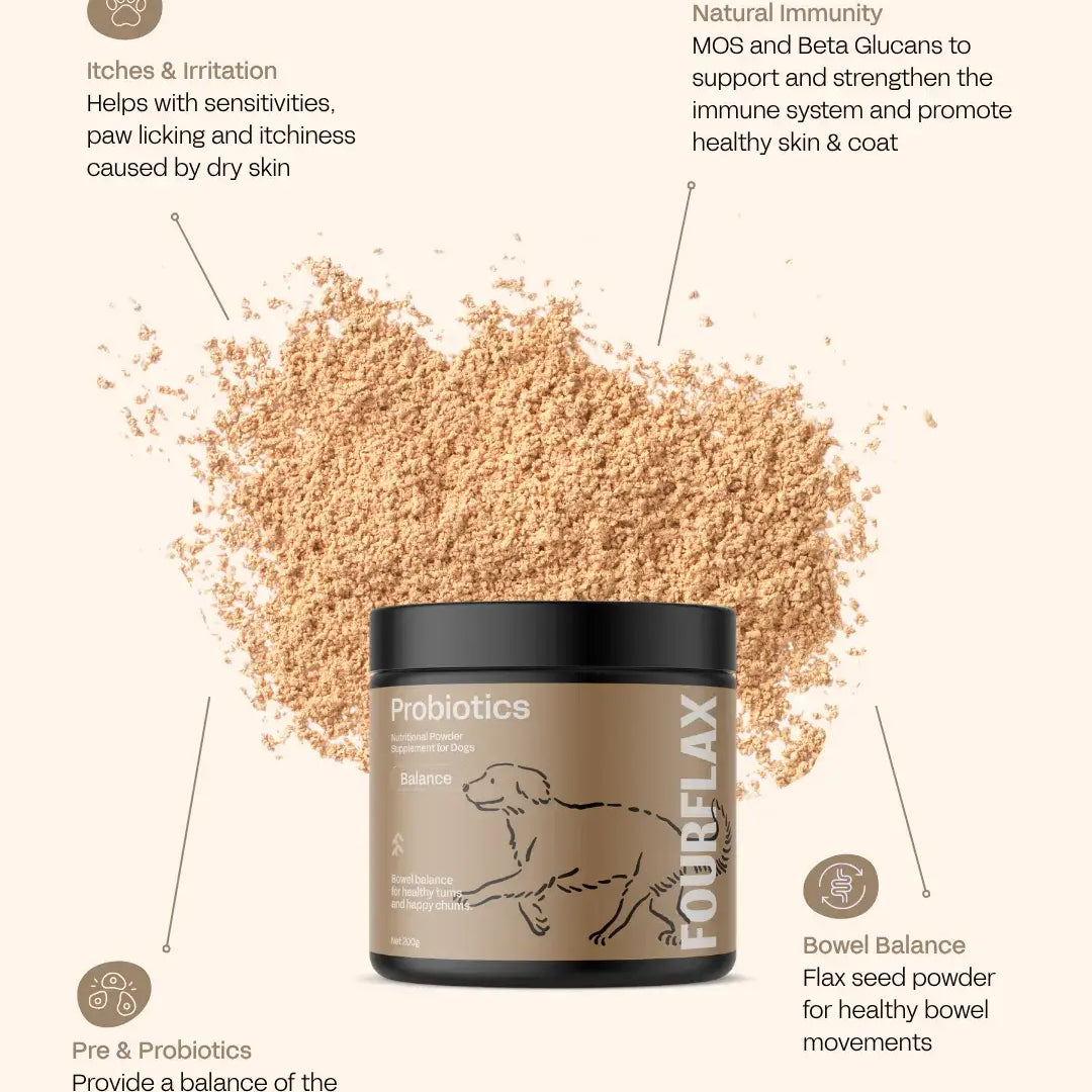 Fourflex probiotics powder for pets with text on benefits