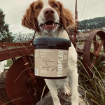 Dog holding a FourFlax probiotics container in its mouth outdoors.