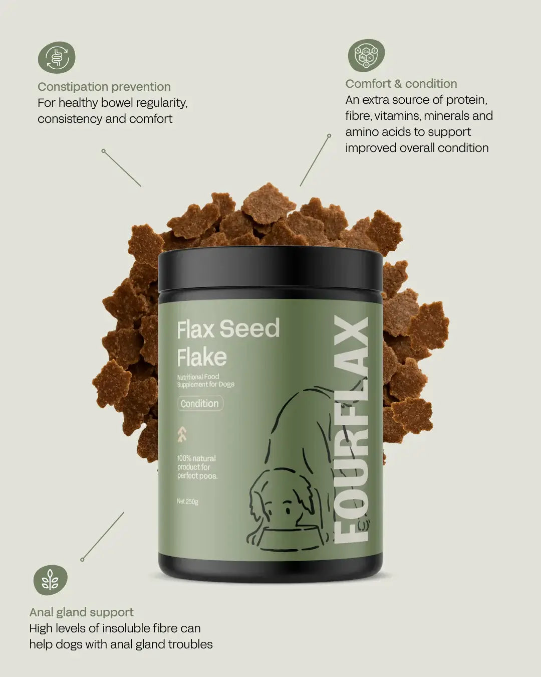 Fourflex Flax Seed Flake supplement container with flaxseed flakes on a light green background