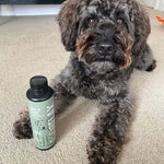 Dog sitting on a carpeted floor next to a Fourflax Skin & Coat bottle