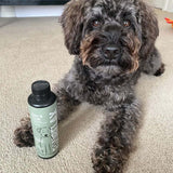 Dog sitting on a carpeted floor next to a Fourflax Skin & Coat bottle