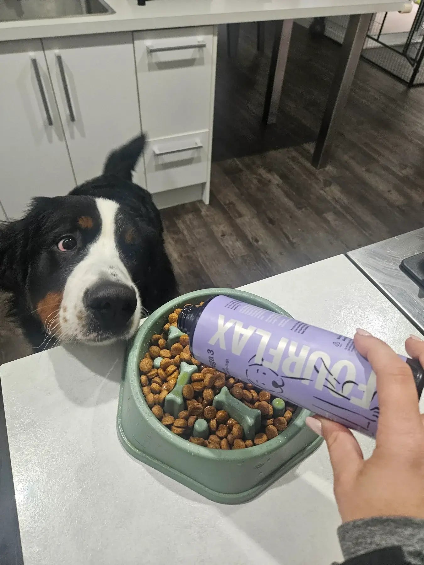 Dog looking at a bowl of food with a person holding a 'Fourflax' container in a kitchen.