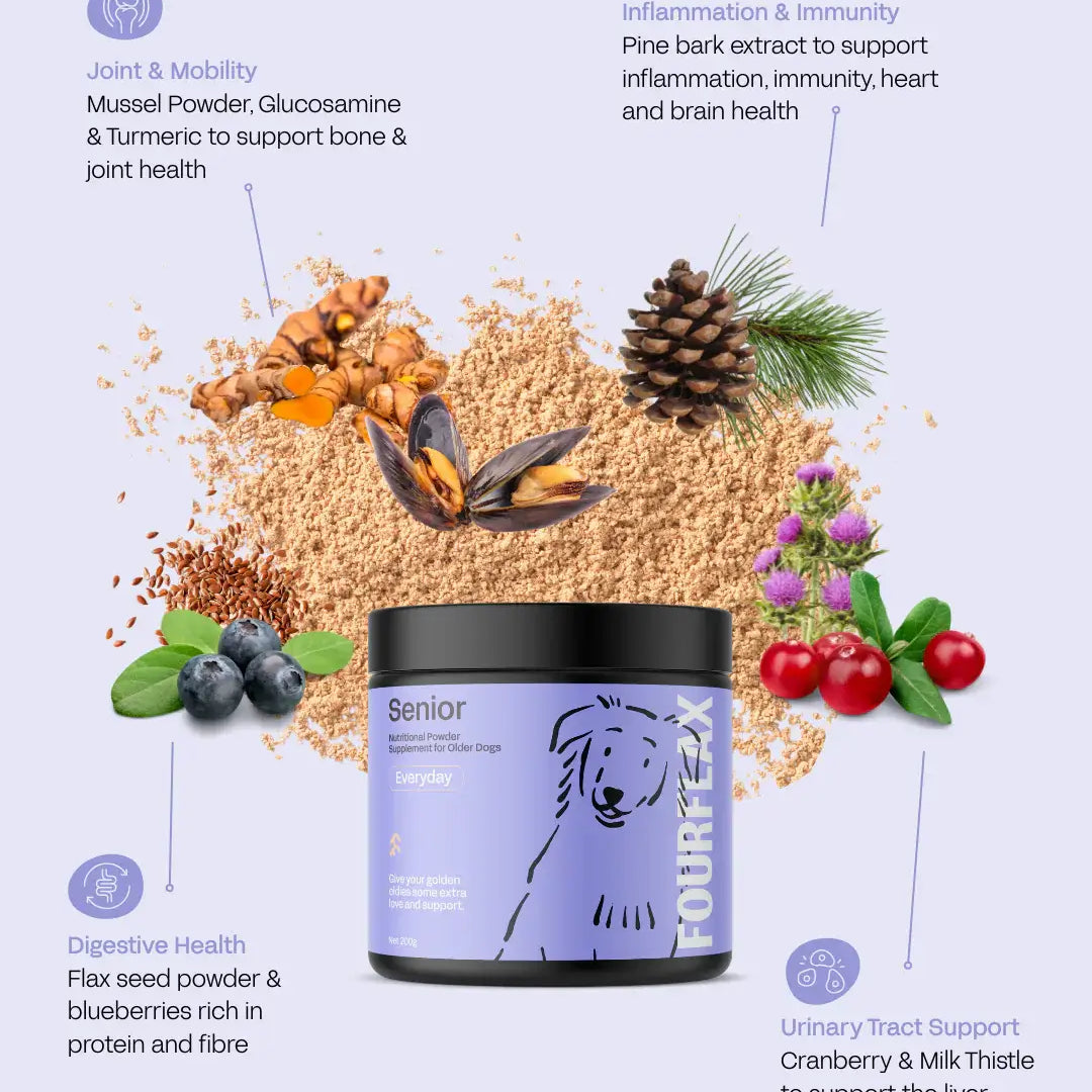 Fourflax pet supplement product with ingredients and health benefits on a light purple background