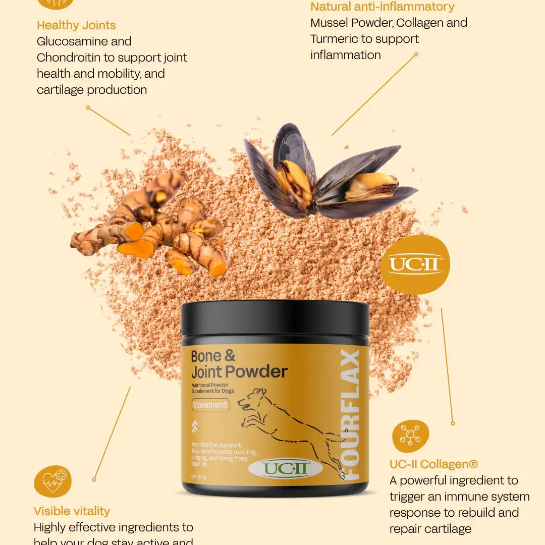 Dog bone and joint powder supplement with ingredients and health benefits on a beige background