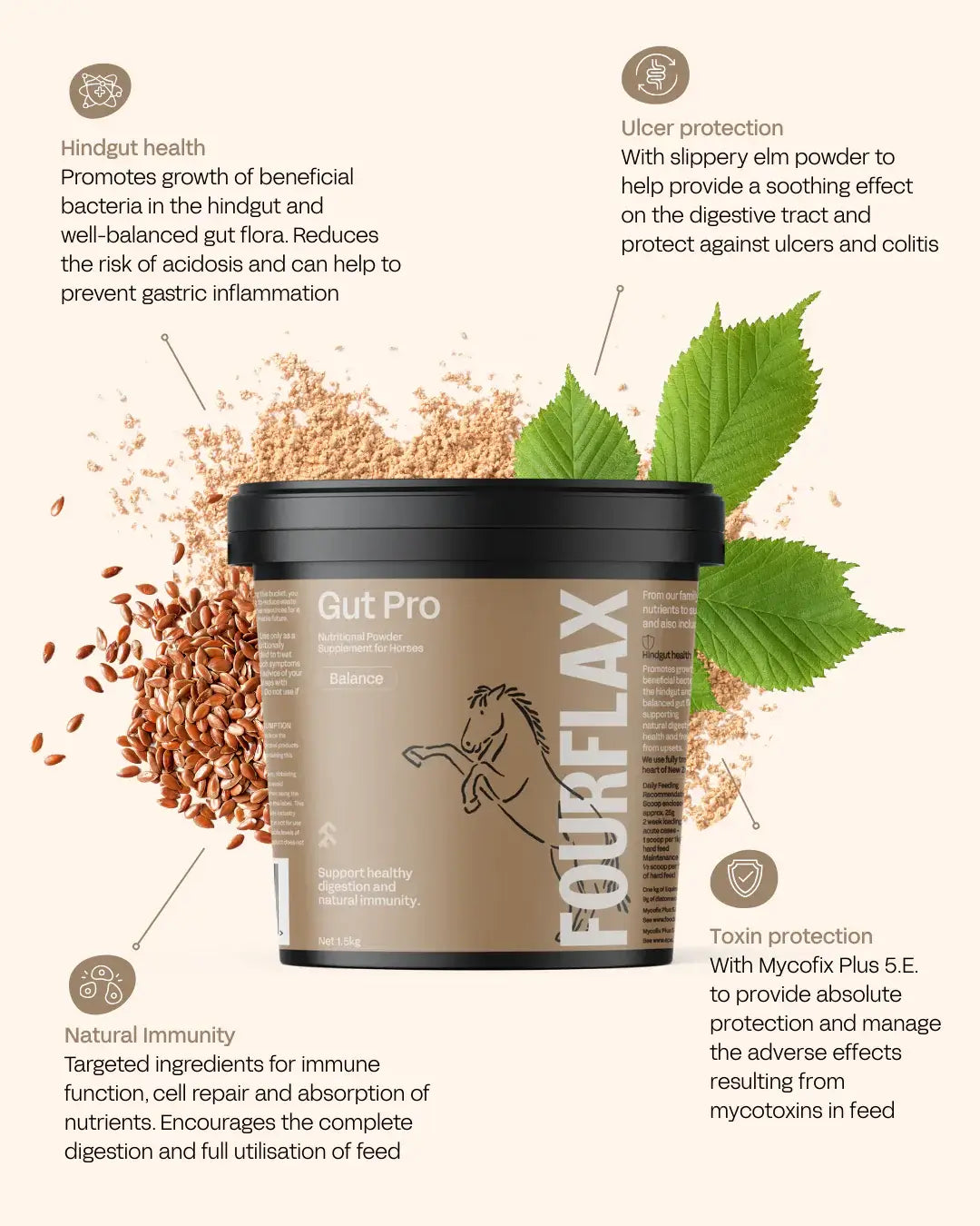 Fourflex Gut Pro supplement container with text on benefits on a light background