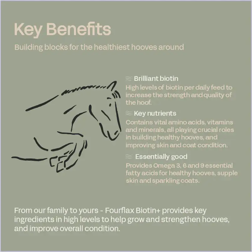 Brochure page about Fourflax Biotin+ for horse hooves with text and a horse illustration on a green background.
