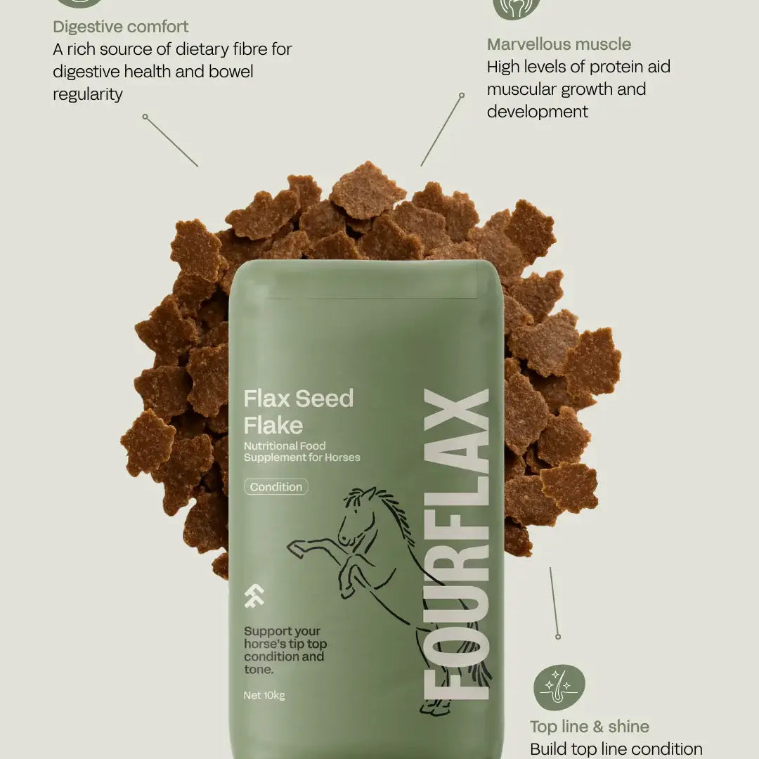 Green supplement package labeled 'FourFlax' with flaxseed flakes on a light gray background