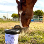 Fourflax Equine Calm 1kg