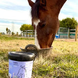 Fourflax Equine Calm 1kg