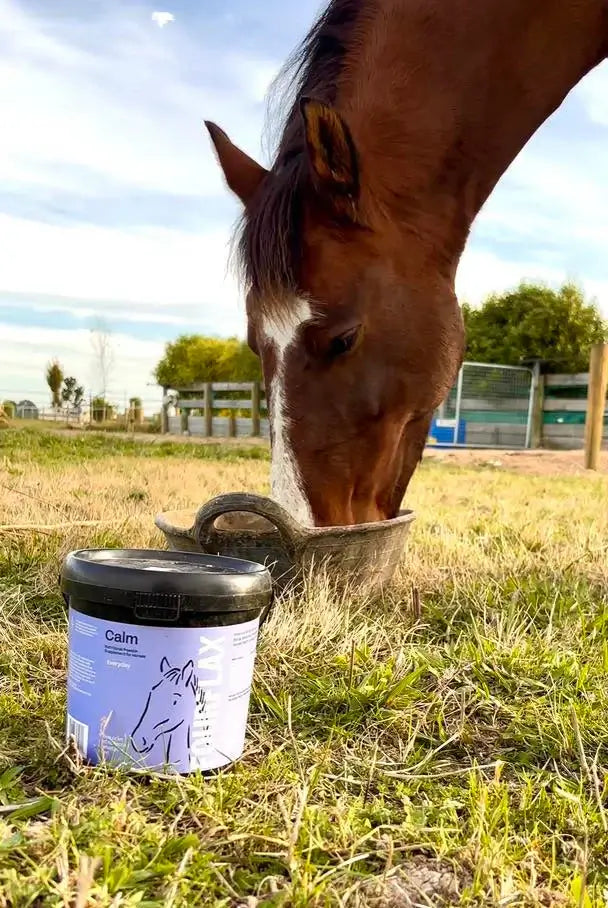Fourflax Equine Calm 1kg